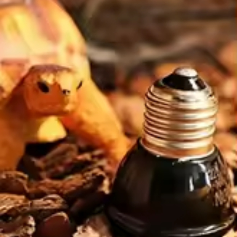Reptile Ceramic Heat Emitter M - đánh giá và giá Ceramic Heat Emitter